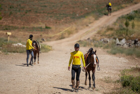 ‎⁨رقابت های اسب سواری استقامت قهرمانی کشور در سنندج⁩