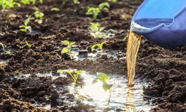 بهترین شرکت خرید کود بازار صادرات و خرید کود