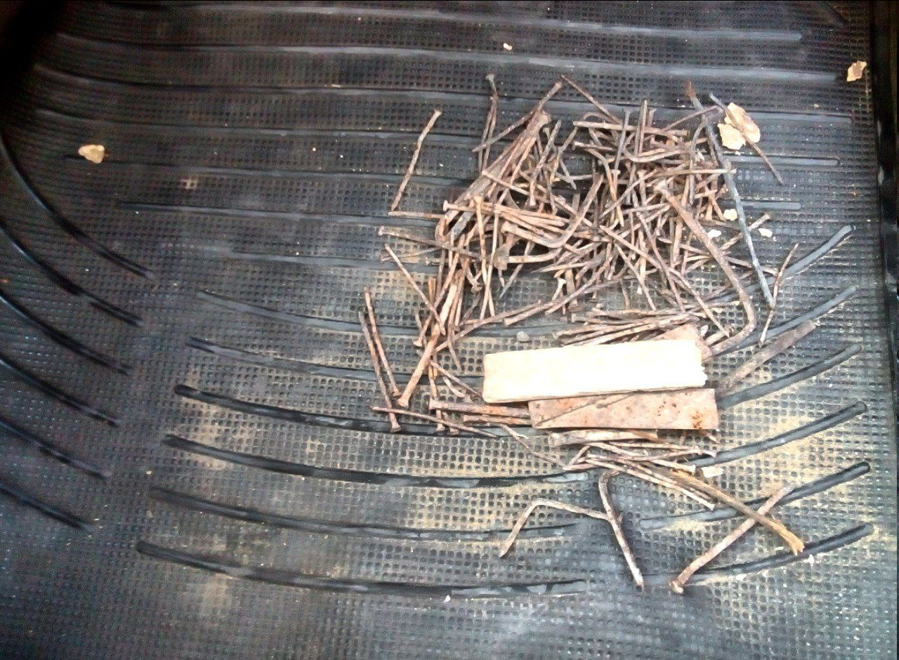 «میخ»ها در کمین گردشگران یک پارک جنگلی در شمال!