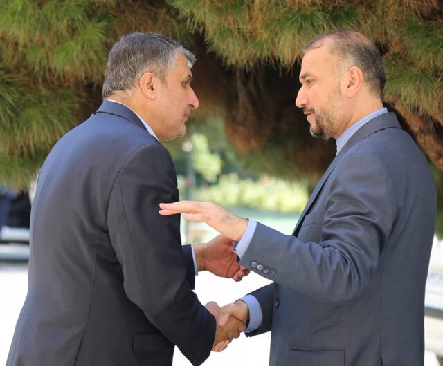 نشست مشترک وزیر امور خارجه و رییس سازمان انرژی اتمی