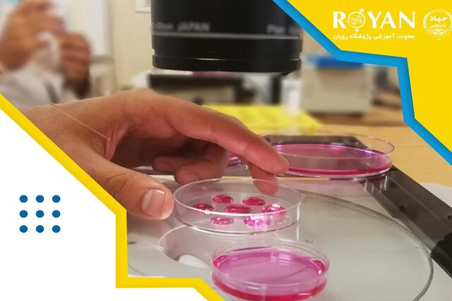 دوره آموزشی مقدماتی در آزمایشگاه زیست‌شناسی