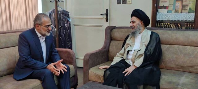 حسینی: دولت از نظرات بزرگان حوزههای علمیه استفاده میکند حسینی: دولت از نظرات بزرگان حوزههای علمیه استفاده میکند