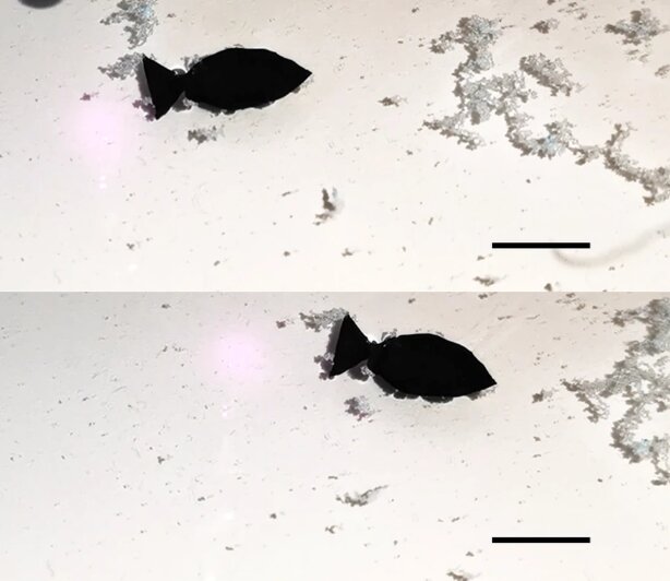 حل مشکل آلودگی اقیانوس با کمک یک ماهی رباتیک!