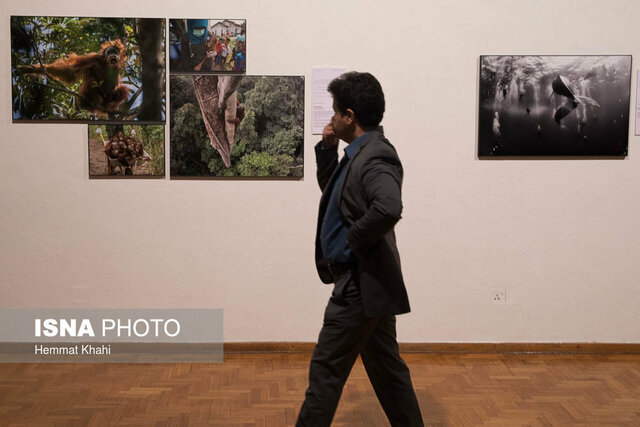 عکس تزیینی است آخر هفته به کدام گالری ها برویم؟