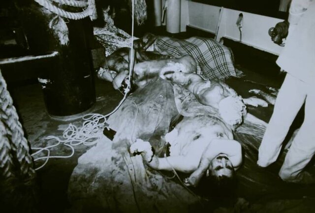 سقوط ایرباس