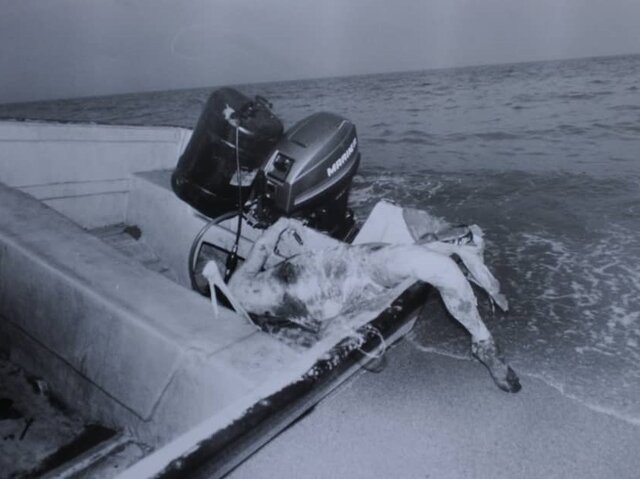 سقوط ایرباس