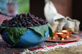 برگزاری جشنواره شاتوت در سولقان/عرضه محصولات محلی در ۴۰ غرفه