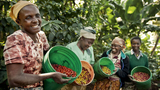 تعاونیها دنیای بهتری می سازند