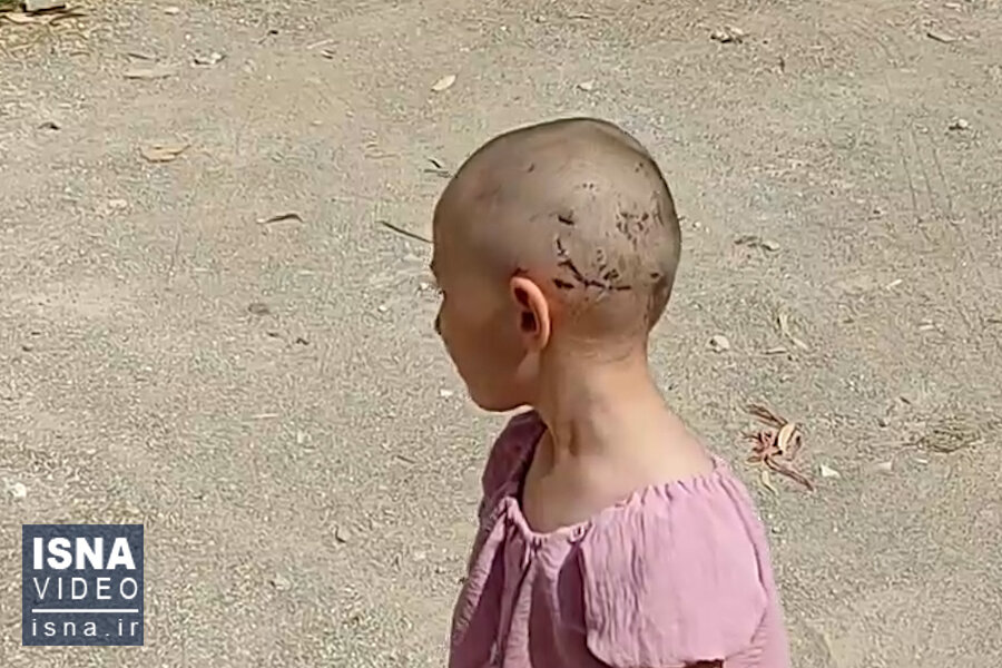 ویدئو / جولان سگ‌های ولگرد در دام‌شهر قم؛ جان کودکان در خطر است