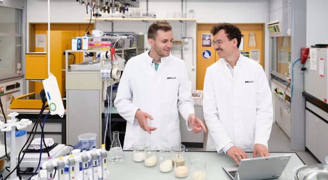 تولید میگوی گیاهی با استفاده از جلبک تولید میگوی گیاهی با استفاده از جلبک