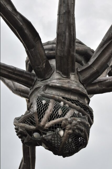 «مامان»، شاهکاری در قامت عنکبوت عظیمالجثه!