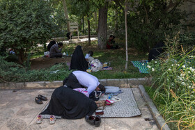 دعای روز عرفه در دانشگاه تهران
