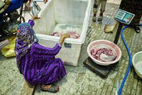 مراکز نیکوکاری و کمیته امداد بوشهر ۲۰۰۰ قربانی انجام دادند