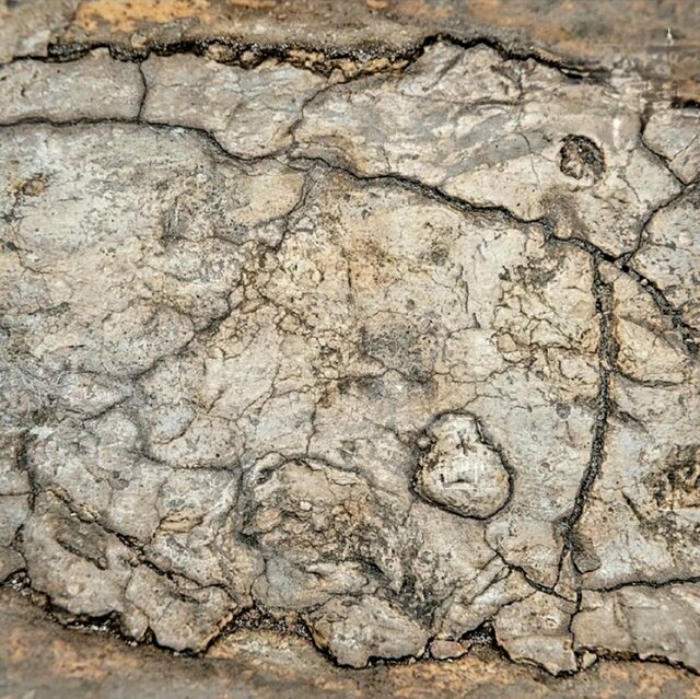 رد پای ابراهیم در مکه