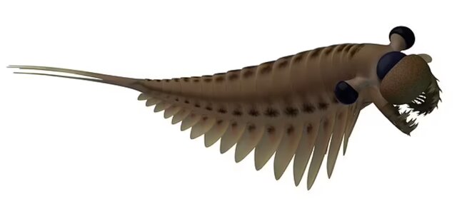 کشف فسیل ۵۰۰ میلیون ساله از مغز یک موجود ۳ چشم!