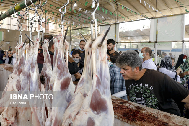 نکاتی برای پیشگیری از بیماریهای مشترک بین انسان و حیوان در تهیه نذورات نکاتی برای پیشگیری از بیماریهای مشترک بین انسان و حیوان در تهیه نذورات