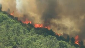 آتش سوزی در جنگل‌های کلاردشت/ درخواست بالگرد برای اطفای حریق