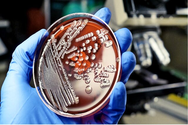 عکس تزئینی است برگزاری رویداد فناوریهای نوین کشاورزی با محوریت صنایع بیوتکنولوژی غذایی و میکروبی