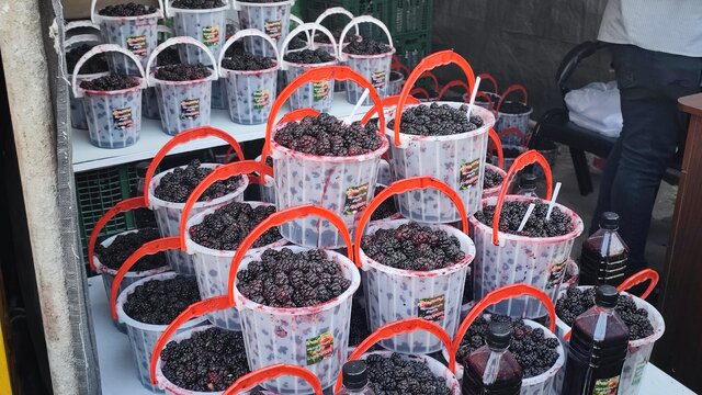 جشنواره شاهتوت به پله سوم رسید/افزایش بهرهوری و کیفیت محصولات تولیدی در روستای سولقان