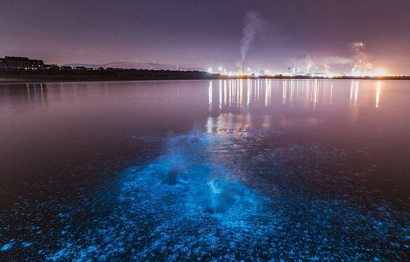 پدیده "دریای شیری" برای اولین بار با دوربین شکار شد