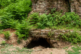 اسپی مزگت؛ قدیمیترین خانه خدا در گیلان