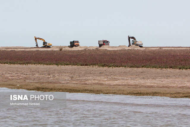 آغاز کشت گیاهان شورپسند در «آشوراده»/ جریان دوباره در رگ حیات «جزیره» آغاز کشت گیاهان شورپسند در «آشوراده»/ جریان دوباره در رگ حیات «جزیره»