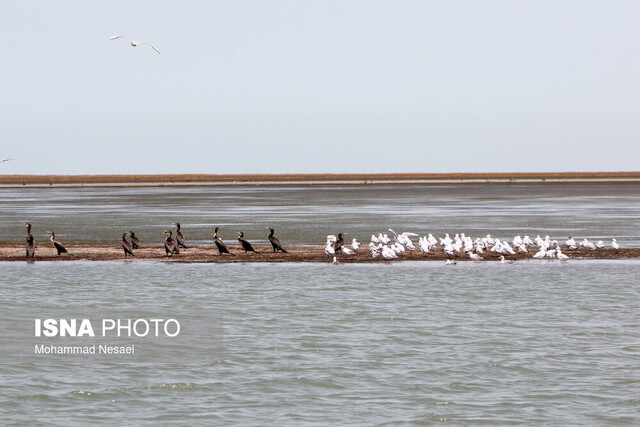 عکس آرشیوی است. طرح طبیعتگردی آشوراده با مدل مشارکت عمومی ـ خصوصی عملیاتی میشود