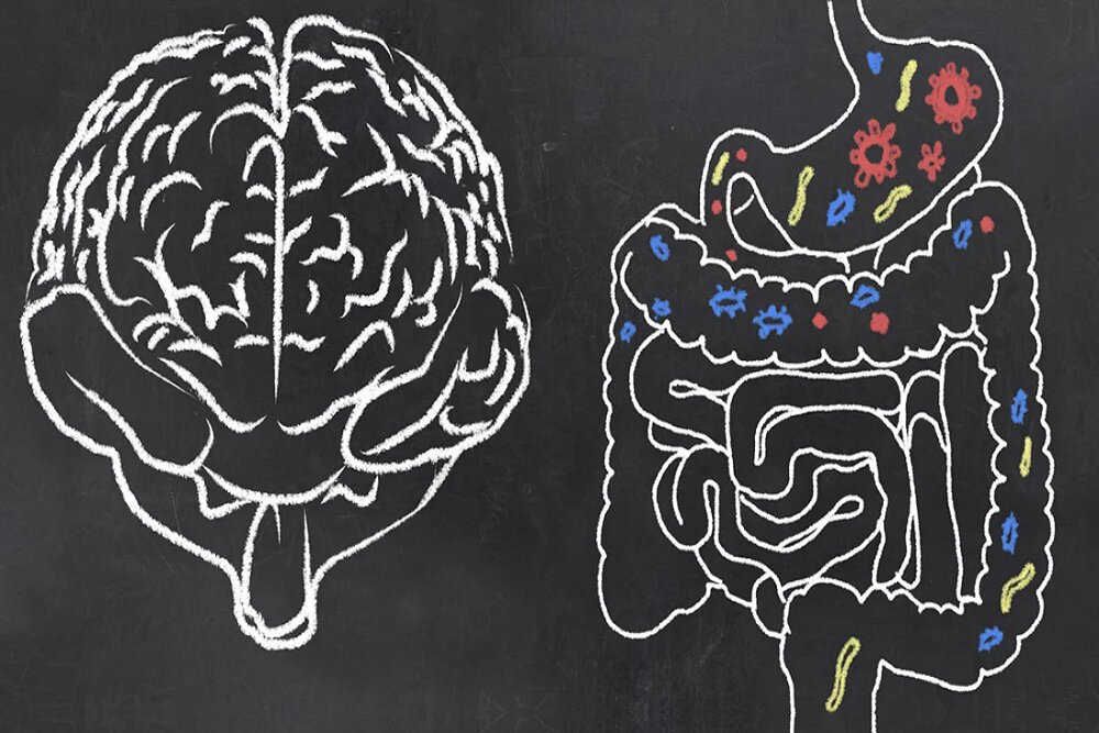 وجود ژن مشترک بین مبتلایان به اختلالات روده و آلزایمر