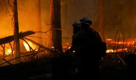 آتش همچنان در دل جنگل‌های کالیفرنیا/ ۴ کشته تاکنون