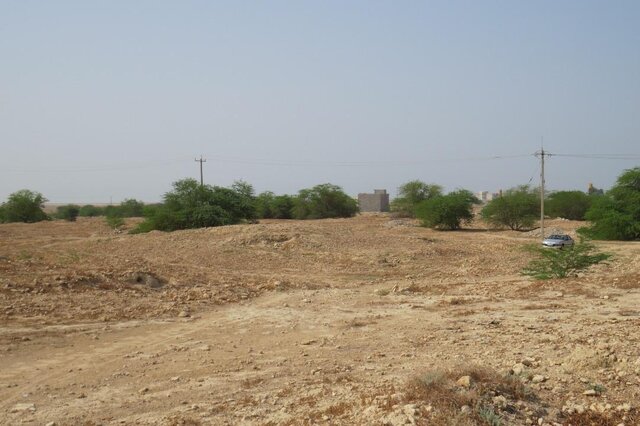 «بردو» تعیین عرصه میشود