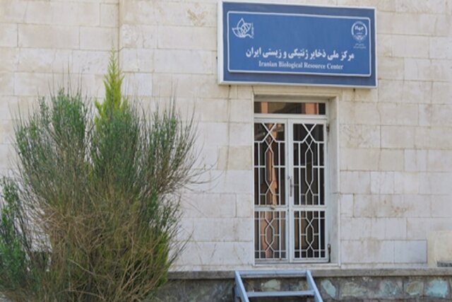 بازدید مسئولان پژوهشگاه بیوتکنولوژی کشاورزی از مرکز ملی ذخایر ژنتیکی و زیستی بازدید مسئولان پژوهشگاه بیوتکنولوژی کشاورزی از مرکز ملی ذخایر ژنتیکی و زیستی