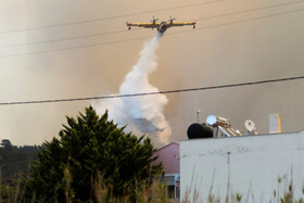 دستور تخلیه منازل در پی حریق جنگلی وسیع در یونان