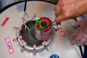 منبع ازت برای نگهداری از نمونههای اسپرم حیوانی در مجتمع تحقیقاتی شهدای جهاددانشگاهی - کرج