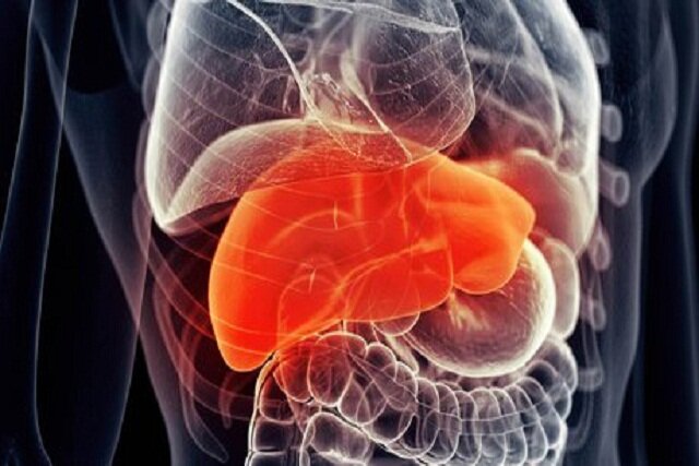 مهندسی بافت‌های مصنوعی بدن با فناوری لیزر کم‌توان