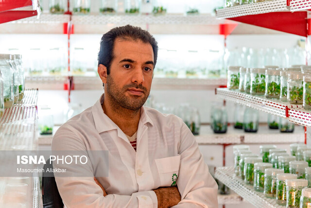 تکثیر گیاهانی با قابلیت کنترل کانونهای ریزگرد/ تلاش برای حفظ گنجینه ارزشمند گیاهان دارویی کشور