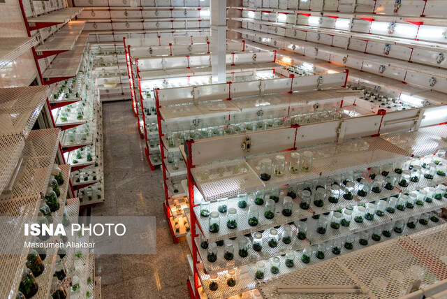 مجتمع تحقیقاتی شهدای جهاد دانشگاهی، قلب تپندهای در «قطب علم و فناوری» کشور