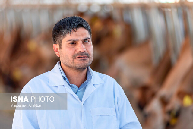 تأسیس اولین بانک جنین از ۵ نژاد گاو برتر دنیا در کشور /کمک به خودکفایی در تولید کره و گوشت