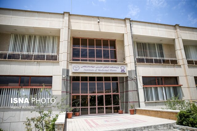 تکثیر گیاهان دارویی با قابلیت کنترل مراکز ریزگرد/تلاش برای حفظ و بهنژادی گیاهان دارویی کشور تکثیر گیاهان دارویی با قابلیت کنترل مراکز ریزگرد/تلاش برای حفظ و بهنژادی گیاهان دارویی کشور