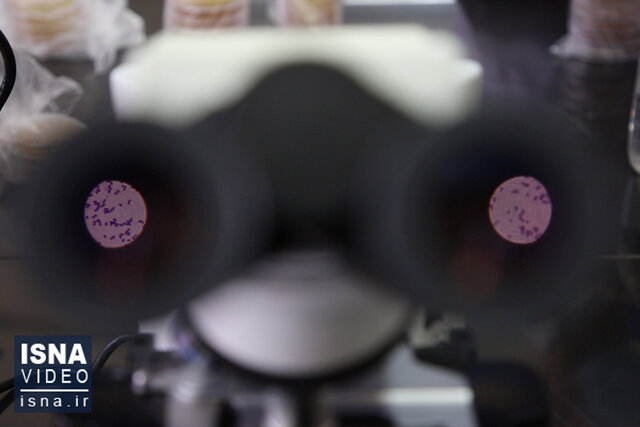 ویدئو / تولید دارو پروبیوتیک، افق آینده جهاددانشگاهی ویدئو / تولید دارو پروبیوتیک، افق آینده جهاددانشگاهی