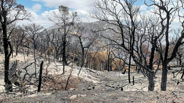 بررسی خسارات وارد شده به رصدخانه ملی آمریکا ناشی از آتش‌سوزی 