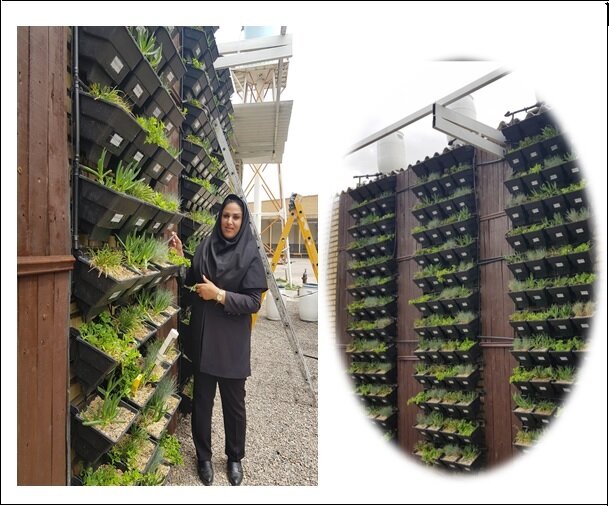 توسعه باغهای شفابخش شهری با الهام از طبیعت/سامانهای برای بازچرخانی آب