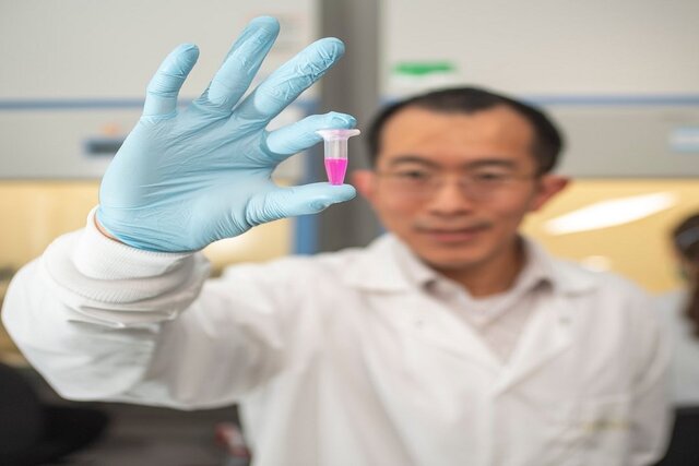 درمان دیابت بارداری با روشی نوین درمان دیابت بارداری با روشی نوین