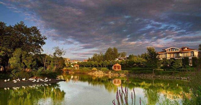 معرفی جزیره فلامینگو چمخاله معرفی جزیره فلامینگو چمخاله