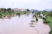 عضو هیات علمی دانشگاه: وجود سیل‌بند ضامن ایمنی یزد نیست