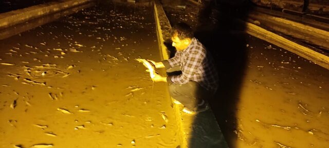 از افزایش خسارات سیل در چهارمحال و بختیاری تا تشدید سرعت امدادرسانی به سیلزدگان