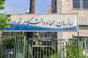 تکثیر پنج رقم پایه‌های رویشی درختان میوه به روش کشت بافت 