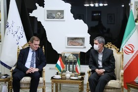 فارس آماده گسترش مراودات با مجارستان است