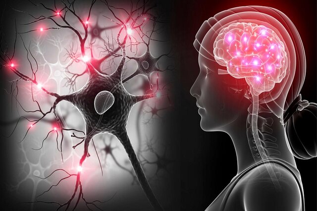 چه چیزی باعث اوتیسم میشود؟ چه چیزی باعث اوتیسم میشود؟