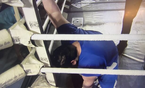 بازتاب جهانی نمایش تمسخرآمیز «هالک دروغین ایرانی» بازتاب جهانی نمایش تمسخرآمیز «هالک دروغین ایرانی»