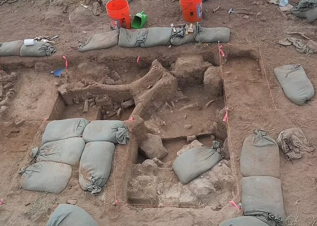 انسانها ۱۷۰۰۰ سال زودتر از تصور در آمریکای شمالی ساکن شدهاند